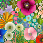 新しい出会いと希望のワルツ。