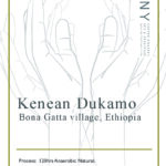 The Throne Collection File No.006  Kenean Dukamo, Bona Gatta village / ケネアン・ドゥカモ, ボナガッタ村 120hrs Anaerobic Natural – Newコーヒー豆の紹介 | ANY – Nara, Japan
