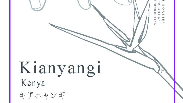 Kianyangi, Kenya – Washed / キアニャンギ 、ケニア – ウォッシュド| Newコーヒー豆の紹介 | ANY – Nara, Japan