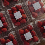 Farm Miyazaki / 13 をお迎えした日。